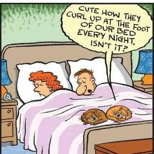 Meet your Posher, Lynne